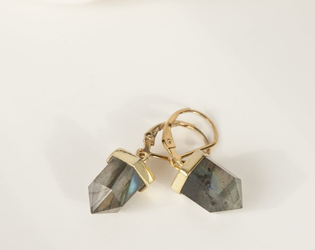 Trendy Labradorite Drop Earrings