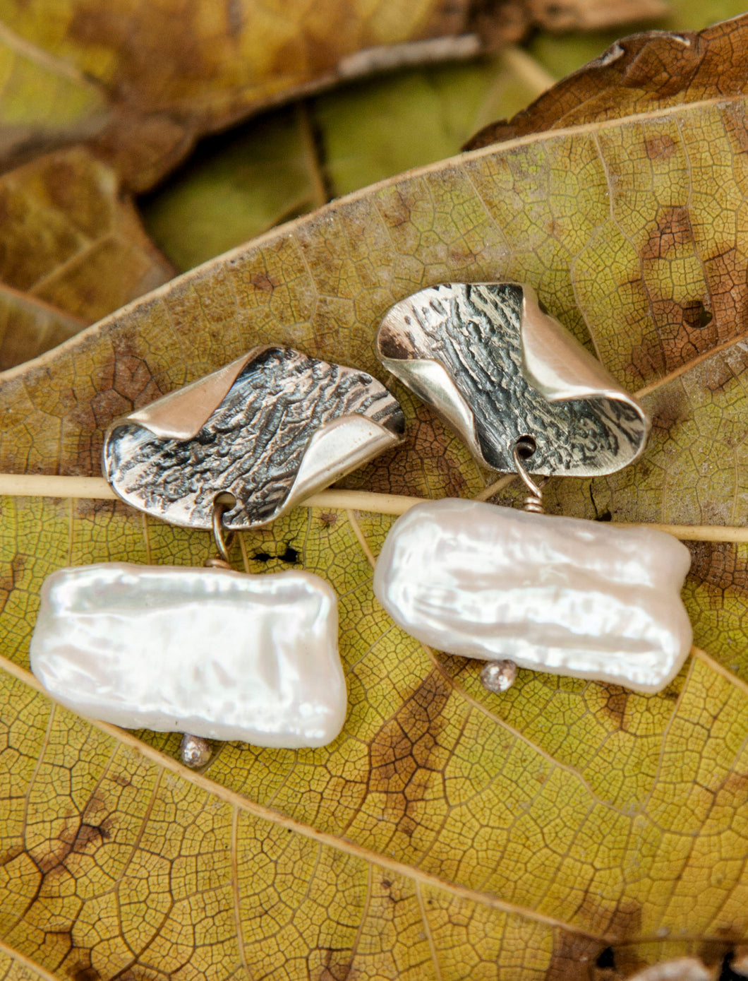 Curved Bark Earrings